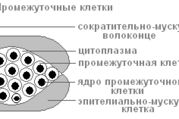 Магазин кракен даркнет сайт