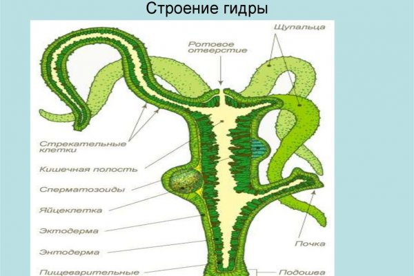 Правила модераторов кракен площадка