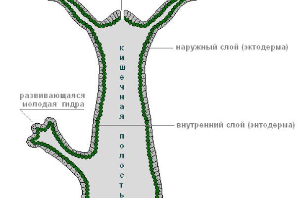 Кракен даркмаркет плейс официальный сайт